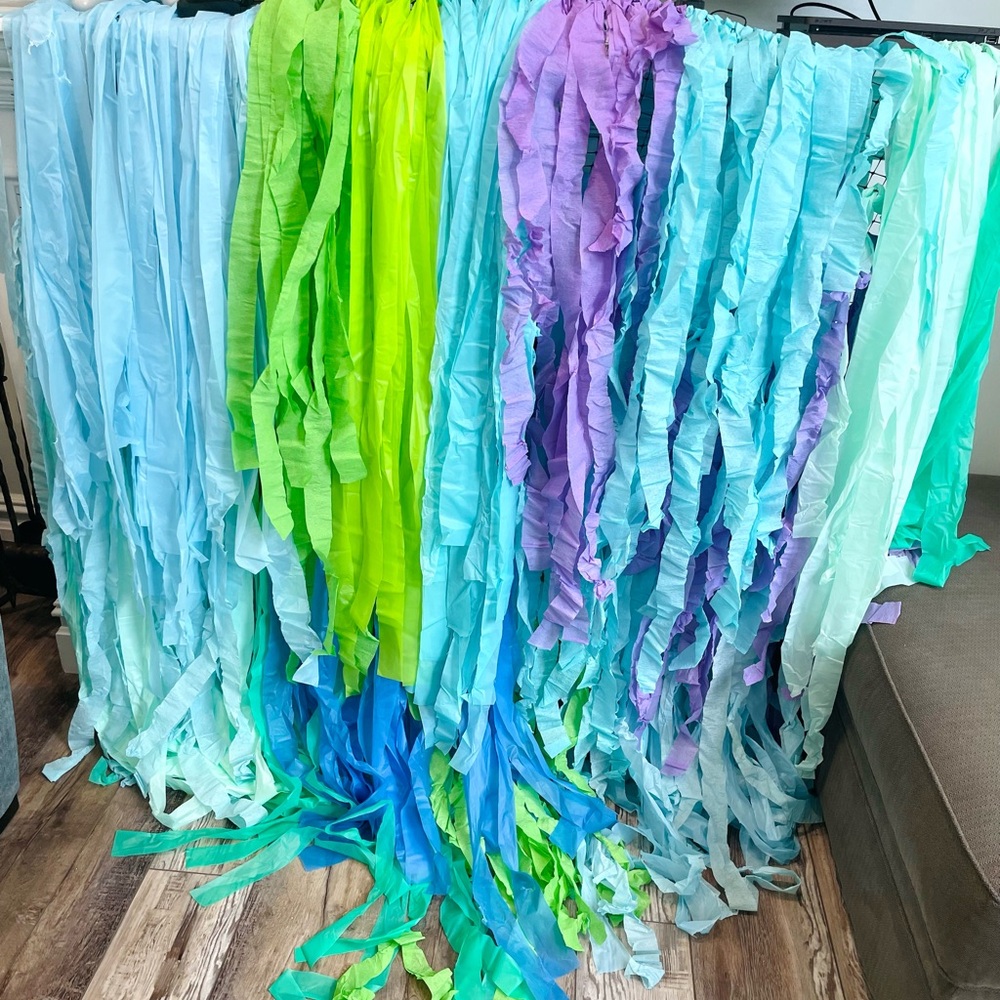 Ariel Little Mermaid Baby Shark Girls Birthday Party Fringe Streamer Backdrop